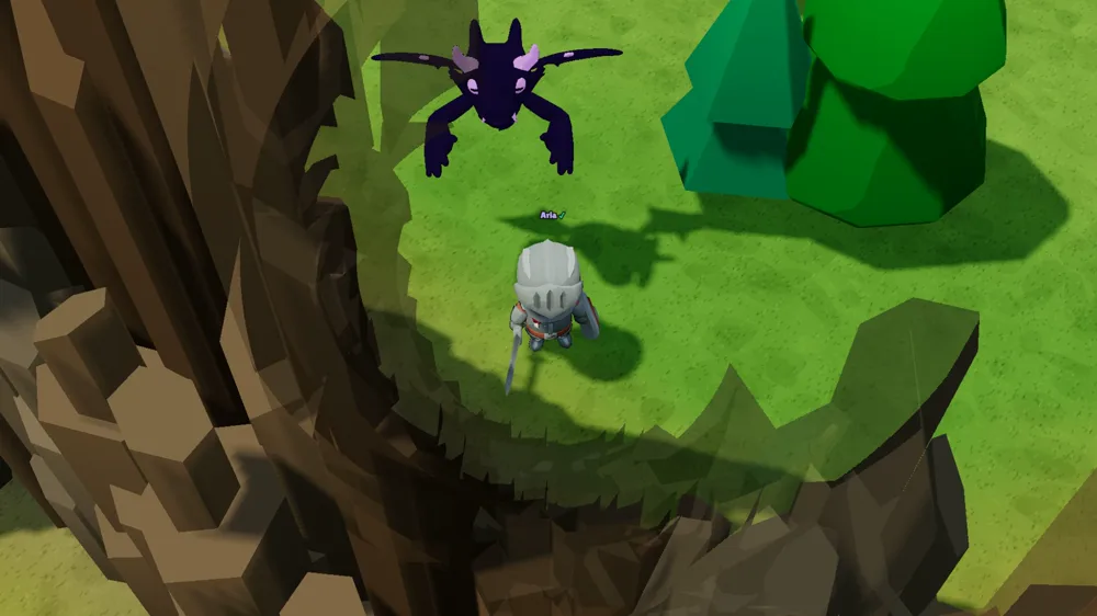 A hero with an elder dragon